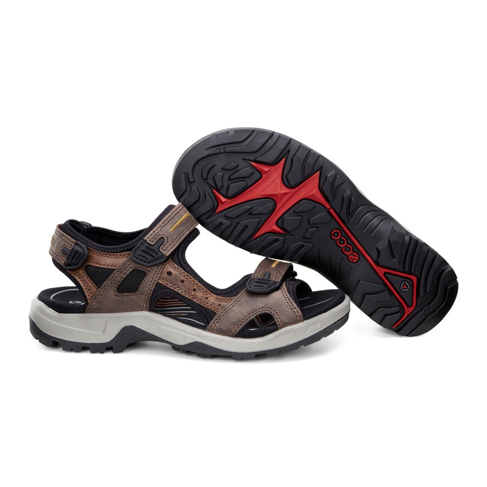 ECCO Mens Sandals Brown/Black - Yucatan - YMA-269071